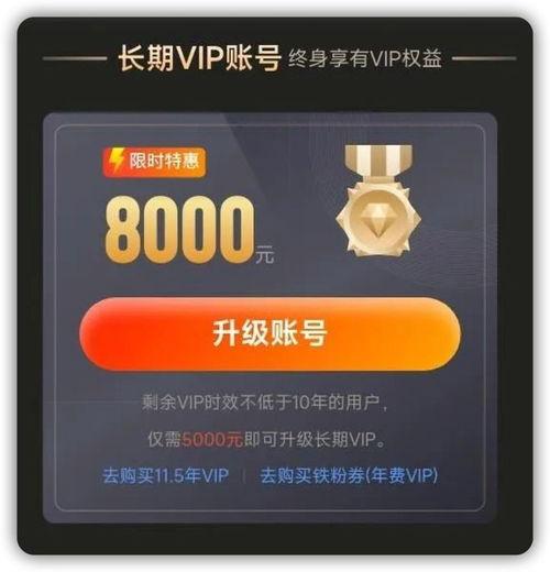 国产vip,引领影视潮流的璀璨明珠
